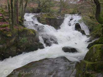 Due to the volume of rain this normally gentle river, was a raging torrent !