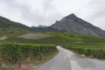 3-vineyards